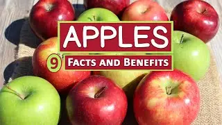 9 Facts and Health Benefits of Eating Apples