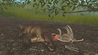 Megalania Hunts For Food | Cenozoic Survival