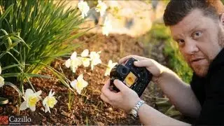 Basic Flower & Macro Photography