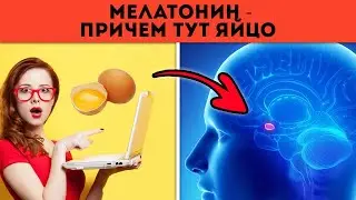 Это Вы точно не знали о Гормоне Сна. Мелатонин - раскрываем Секреты.