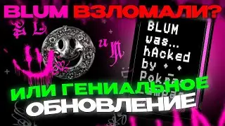 BLUM ВЗЛОМАЛИ❓ Что произошло на самом деле? | Airdrop BLUM