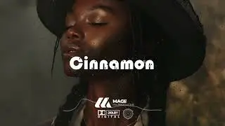 [FREE] Cinnamon - Sad AfroSoul x Country typebeat 2024