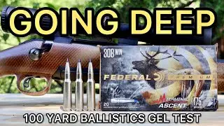 308 Winchester Federal Terminal Ascent Ballistics Gel Ammo Test