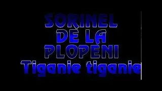 SORINEL DE LA PLOPENI    TIGANIE TIGANIE