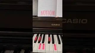 NOTION на пианино!! вы просили - я это сделала ❤️🎹⭐️ #notion #fypviral #pianotutorial