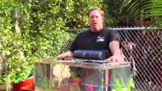 How to Cycle a New Aquarium