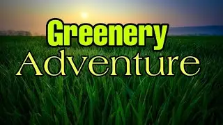 Adventure  - paddy field - Greenery - Nature - Ep-1