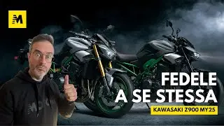 Z900 e Z900 SE tutte nuove per il 2025: Kawasaki evolve la sua supernaked