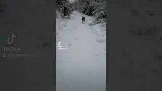 Suzie, snow, slow mo