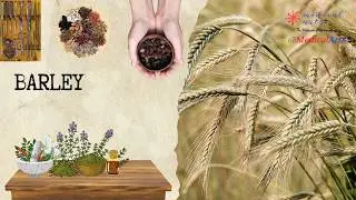 Natural Medicine 🌿 Home remedies 🍄‍🟫 Herbal Healing 📜 18th Century Medical Wisdom 🎥 Medical Arts