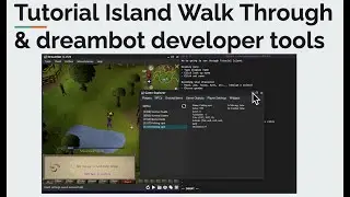 E004 - OSRS Tutorial Island Walk Through with Dreambot Developer Tools