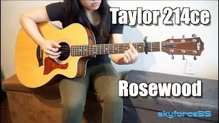 Taylor 214CE Acoustic Electric with Cutaway Guitar Review