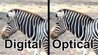 The Difference Between Digital Zoom & Optical Zoom