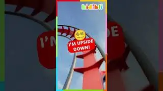 I'm having a blast! 🥳 | Kidibli 