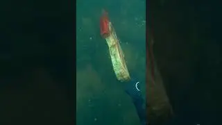 Found Fortnite Gun Underwater While Scuba Diving!