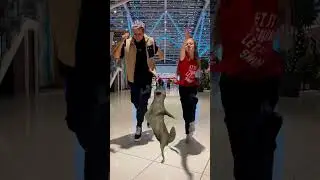 ИХВИЛЬНИХТ ДЄНС😂  