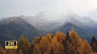 3 Hours of Enchanting Autumn Nature Scenes - Relaxing Piano Music for Stress Relief