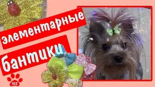 КАК СДЕЛАТЬ БАНТИКИ ДЛЯ СОБАКИ. Элементарные бантики своими руками.