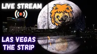 Las Vegas LIVE NOW, The Strip, Vegas Live Stream