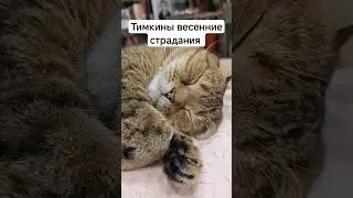 отдельный вид искусства - Тимкин сон😂 