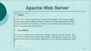 2.Basic Setup of Apache Web Server