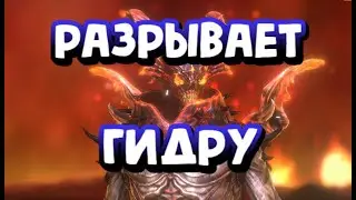 СКОРИД КОРОЛЬ ГИДРЫ. КАК ОДЕТЬ ГЕРОЯ В RAID SHADOW LEGENDS