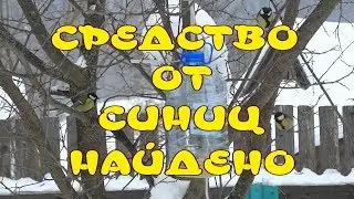 СРЕДСТВО ОТ СИНИЦ НА ПАСЕКЕ НАЙДЕНО! СИНИЦЫ НА ПАСЕКЕ.