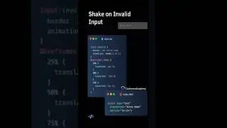 shake animation on invalid input