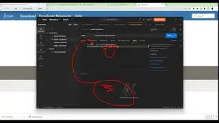 Using Collections and Variables in Postman