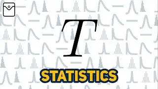 What is a statistic?
