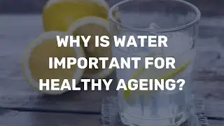 Why is water important for healthy ageing?