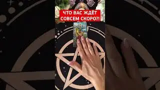 ЧТО ВАС ЖДЁТ СОВСЕМ СКОРО #таро #судьба #tarot #мужчина #гадание #гадания #таролог #будушее #