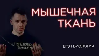 Что такое мышечная ткань I ЕГЭ Биология | Даниил Дарвин