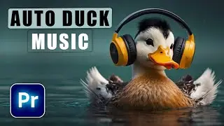 AUTO DUCK Audio and Music in Premiere Pro