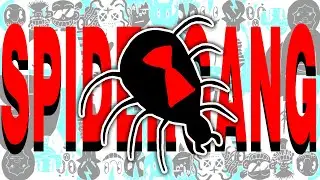 Кто такие Spider Gang?