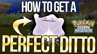 How to Catch a PERFECT Ditto - MAX IVs! - in Pokemon Sun and Moon! | Austin John Plays