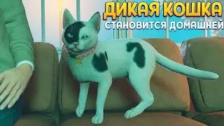 ДИКАЯ КОШКА СТАНОВИТСЯ ДОМАШНЕЙ ( Copycat )