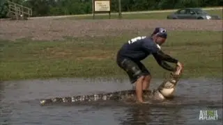 Gators Take Over Flooded Field | Gator Boys