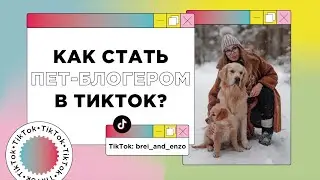 Как снимать в TikTok? Как стать пет-блогером в тикток?