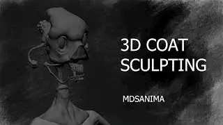 3D Coat 4.8 | Character sculpting 3 | MDSANIMA | PL