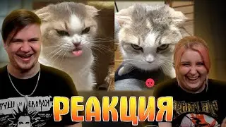 РЕАКЦИЯ НА The funniest animals of 2024 😅 The funniest cats videos 😹 Part34