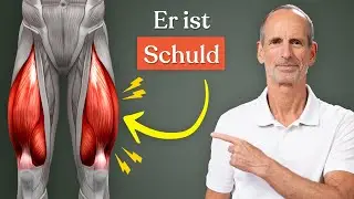 Warum dieser Muskel Knieschmerzen macht (musst du wissen)