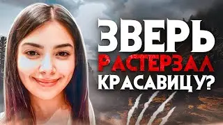 Зверь растерзал девушку? Таинственное исчезновение из под камер наблюдения Джавахер Хеджи