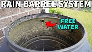 Rain Barrel Test: Is This The Best Way To Harvest Water?