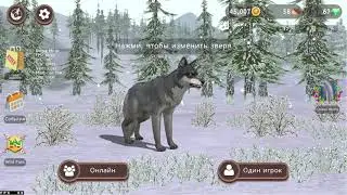 Зачем нужны слоты в облаке (аккаунте)? WildCraft