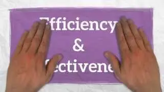 Efficiency & Effectiveness, 3 Levels of Managers