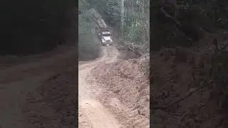 КУДА ЕГО НЕСЁТ 🤯