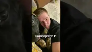 Мой настоящий друг🐶 