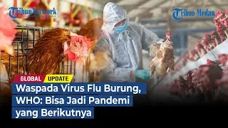 Waspada Virus Flu Burung, WHO: Bisa Jadi Pandemi yang Berikutnya | GLOBAL UPDATE