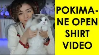 Pokimane Open Shirt Video | Pokimane Open Shirt Video Twitter | What is Pokimane Open Shirt Video.